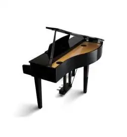 Kawai DG-30 Pianoforte digitale a coda