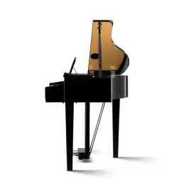 Kawai DG-30 Pianoforte digitale a coda