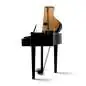 Kawai DG-30 Pianoforte digitale a coda