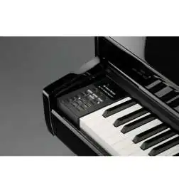 Kawai DG-30 Pianoforte digitale a coda