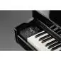 Kawai DG-30 Pianoforte digitale a coda