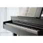 Kawai DG-30 Pianoforte digitale a coda