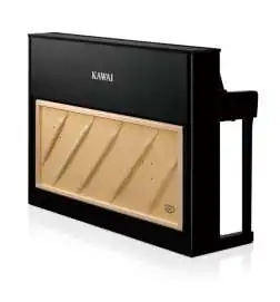 Kawai CA-901 EP