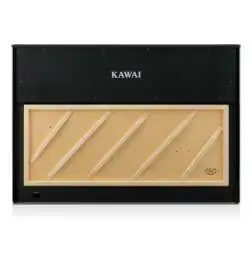 Kawai CA-901 EP