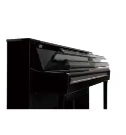 Kawai CA-901 EP