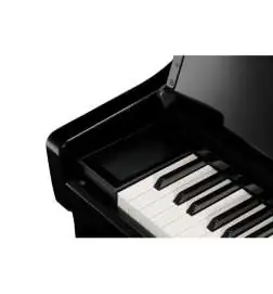 Kawai CA-901 EP