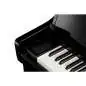 Kawai CA-901 EP