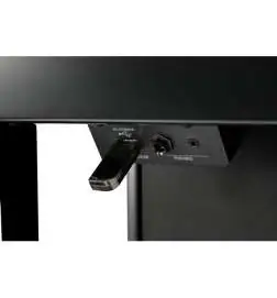 Kawai CA-901 EP