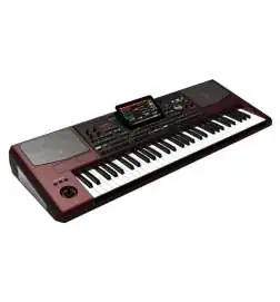 Korg Pa1000 keyboard