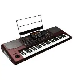 Korg Pa1000 keyboard