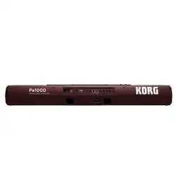 Korg Pa1000 keyboard