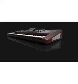Korg Pa1000 keyboard
