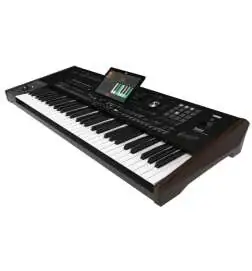 Korg Pa5X 61 Tastiera orientale