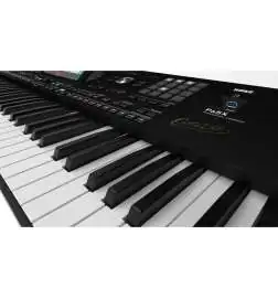 Korg Pa5X 61 Tastiera orientale