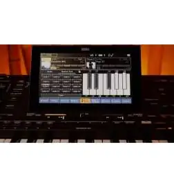 Korg Pa5X 61 Tastiera orientale