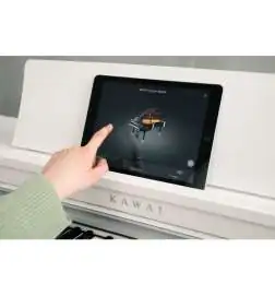 Kawai CN201 W