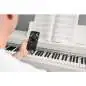 Kawai CN201 W