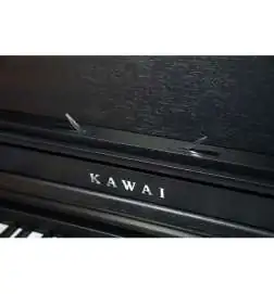 Kawai CA-401 B