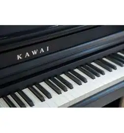 Kawai CA-401 B