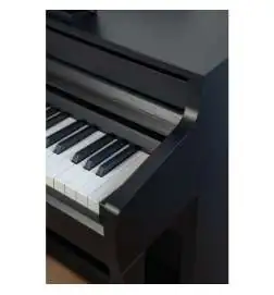 Kawai CA-401 B