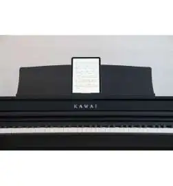 Kawai CA-401 B