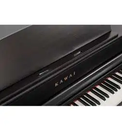Kawai CA-701 R