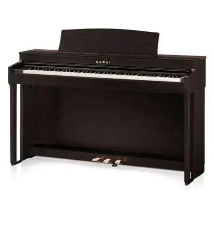 Kawai CN301 R