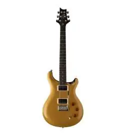 PRS SE DGT Moons Gold Top