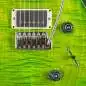 PRS Studio Eriza Verde 0348496