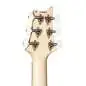 PRS CE 24 Special Carroll Blue