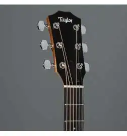 Taylor 110ce-Sapele