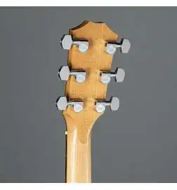 Taylor 110ce-Sapele