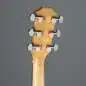 Taylor 110ce-Sapele