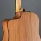 Taylor 110ce-Sapele