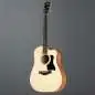Taylor 110ce-Sapele