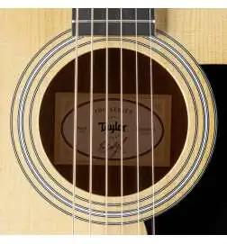 Taylor 110ce-Sapele