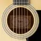 Taylor 110ce-Sapele