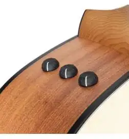 Taylor 110ce-Sapele