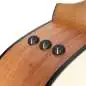 Taylor 110ce-Sapele