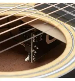 Taylor 110ce-Sapele
