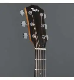 Taylor 210ce