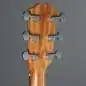 Taylor 210ce