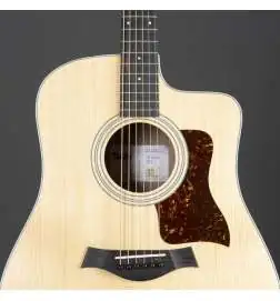 Taylor 210ce