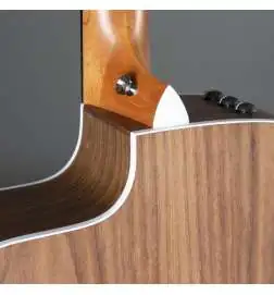 Taylor 210ce