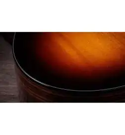 Taylor 217e-SB Plus