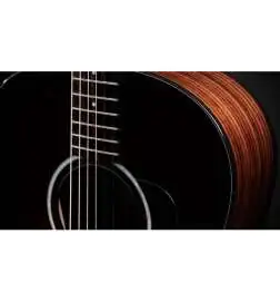 Taylor 217e-SB Plus