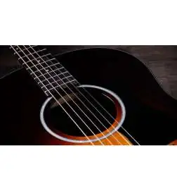 Taylor 217e-SB Plus