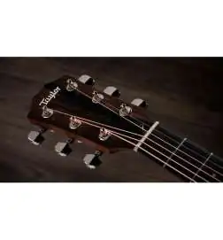 Taylor 217e-SB Plus