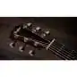Taylor 217e-SB Plus
