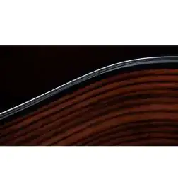 Taylor 217e-SB Plus